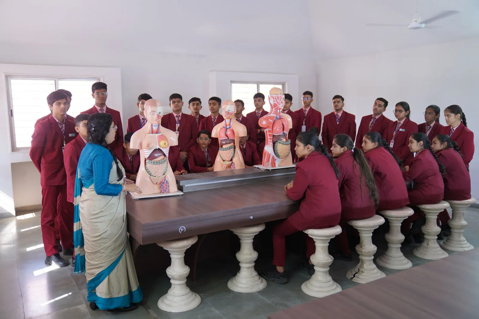 Senior students around a long table with anatomy models and their biology teacher